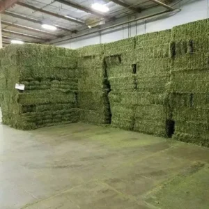 Alfalfa Hay Wholesale