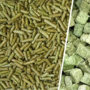 Alfalfa Pellets Wholesale