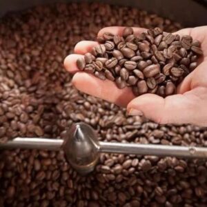 Coffee beans Wholesale