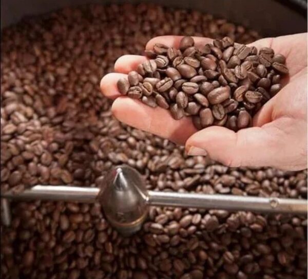 Coffee beans Wholesale