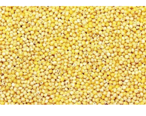 Wholesale of Millet