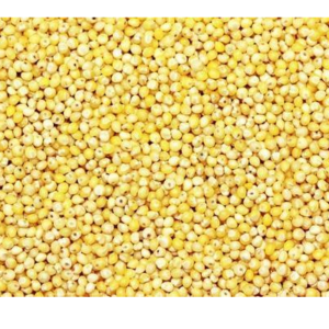 Wholesale of Millet