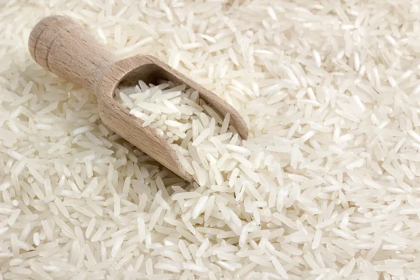 Wholesale of Rice