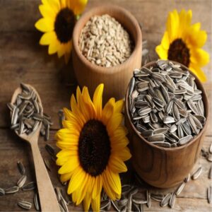 Sunflower Seeds wholesale