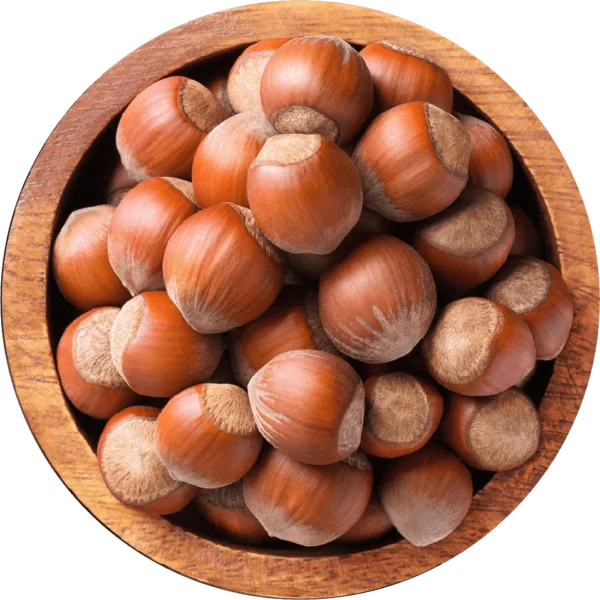 Hazelnuts wholesale