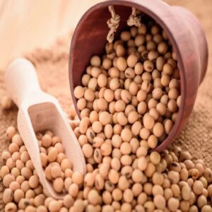 soybeans wholesale